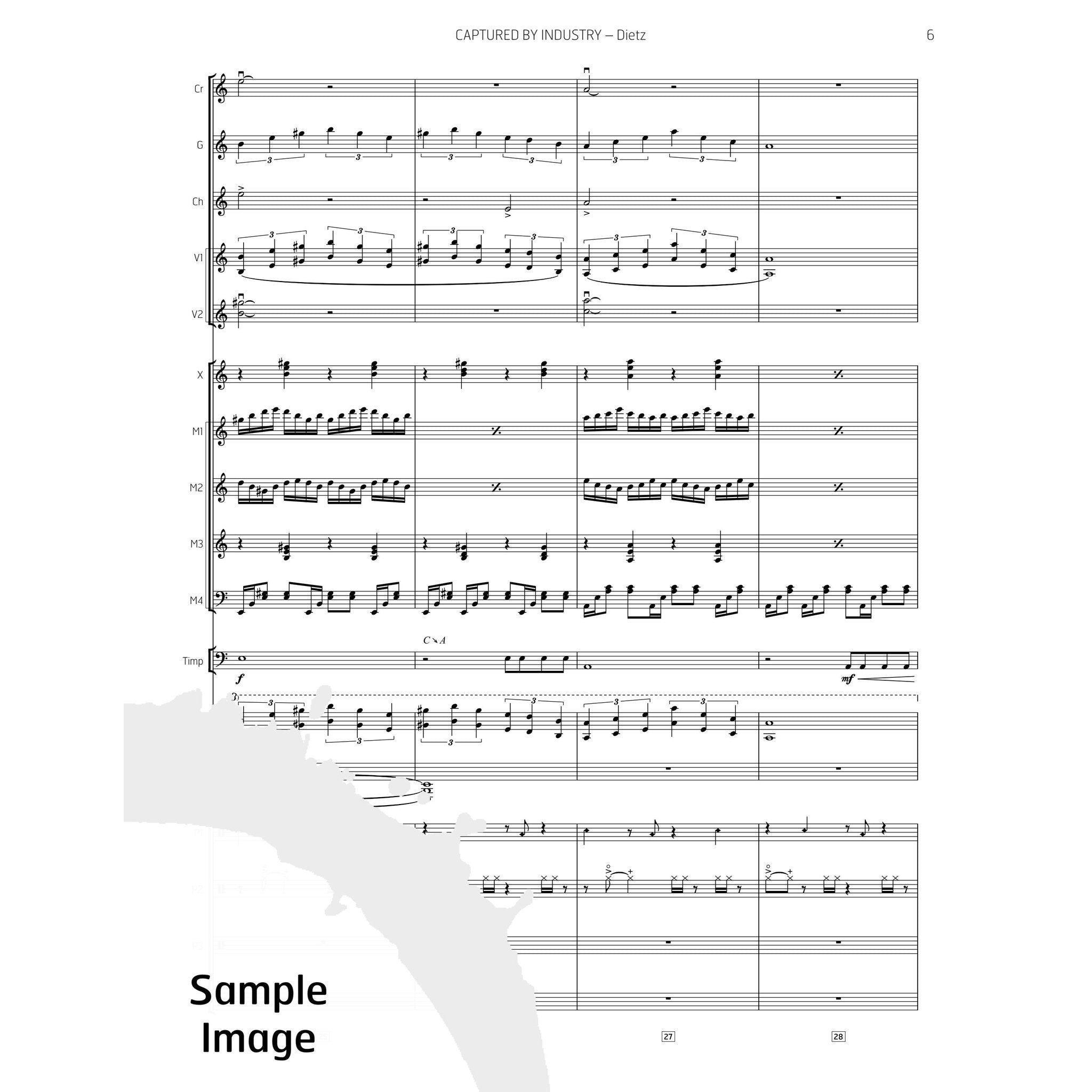 Dietz-Captured by Industry sample