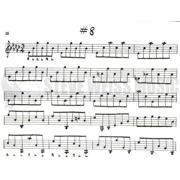 Anderson, D.-Well-Tempered Mallet Studies