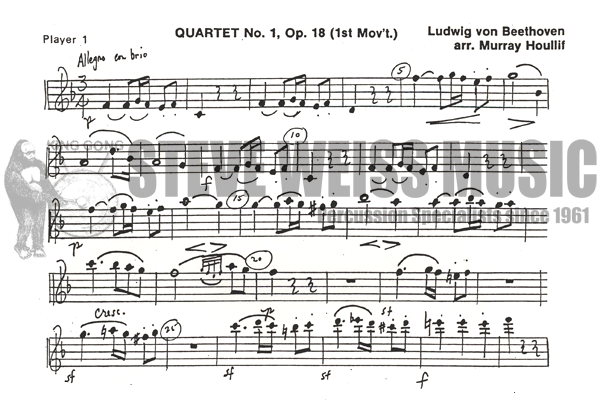 Beethoven-Quartet #1(P)