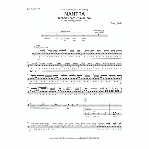 Bush-Mantra-SD/electronics