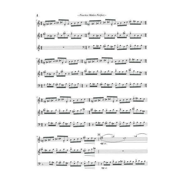 Cohen-Practice Makes Perfect (SP)-V/M 4 hands