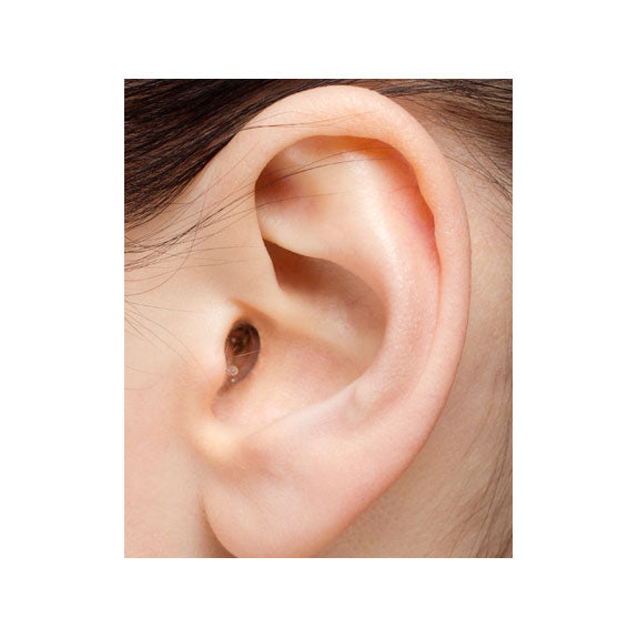 Earasers Musicians Earplugs - Small
