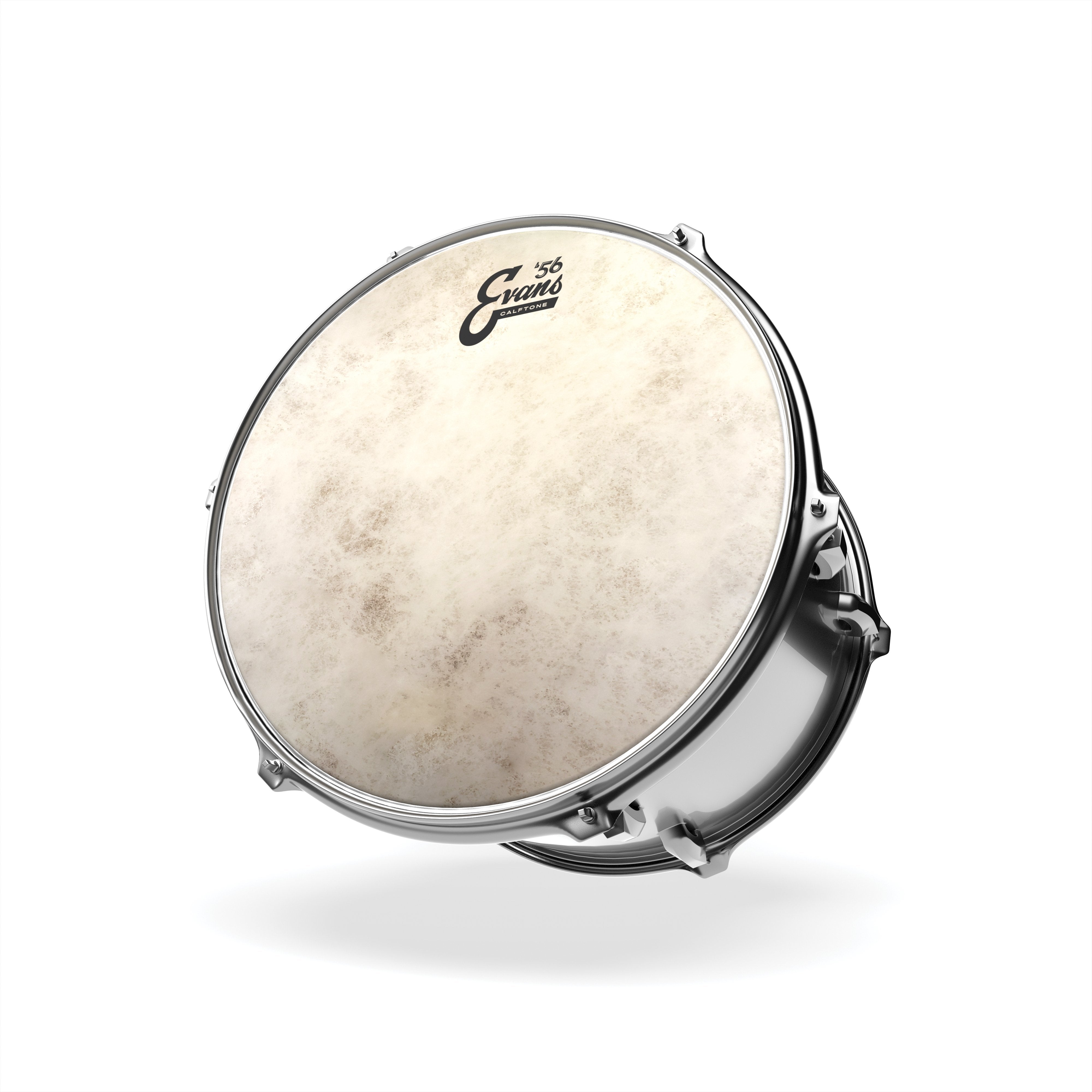 Evans Calftone Drumhead - 12" - Image 3