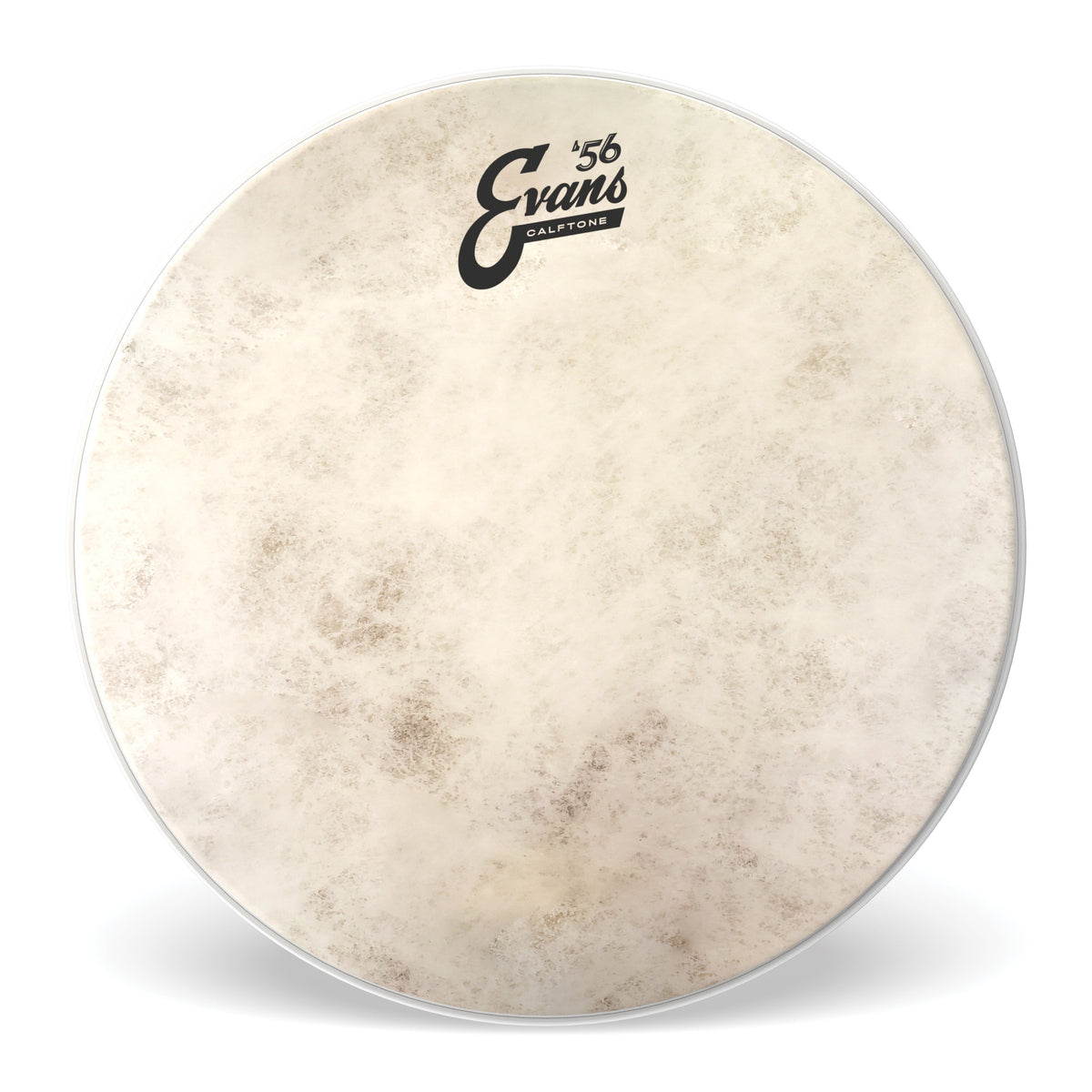 Evans Calftone Drumhead - 14" - Image 1