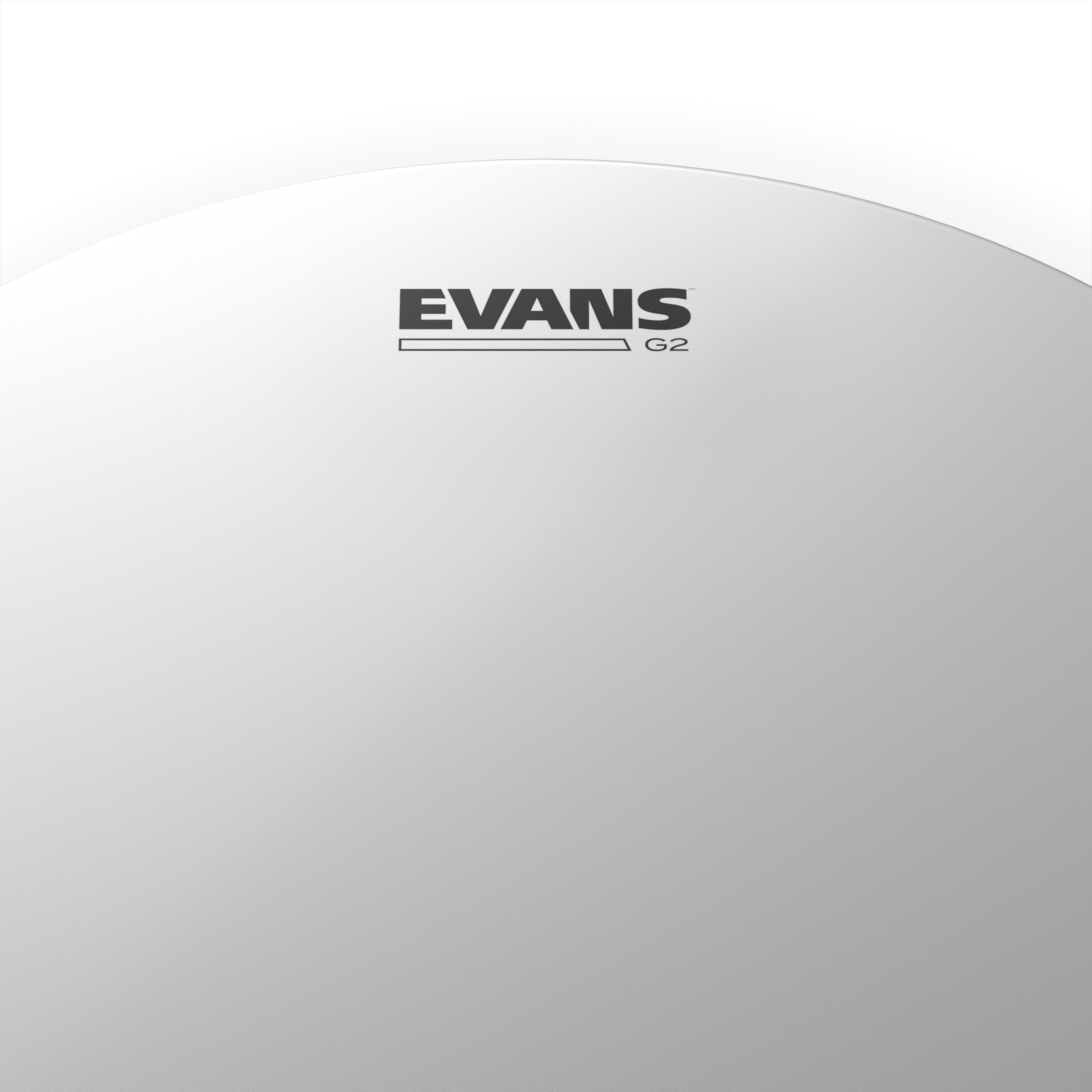 Evans Genera G2 Coated Drumhead - 8" - Image 2