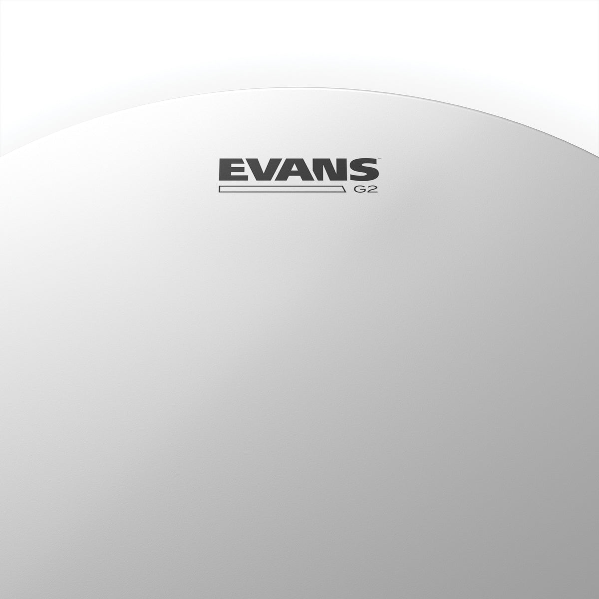 Evans Genera G2 Coated Drumhead - 8" - Image 2