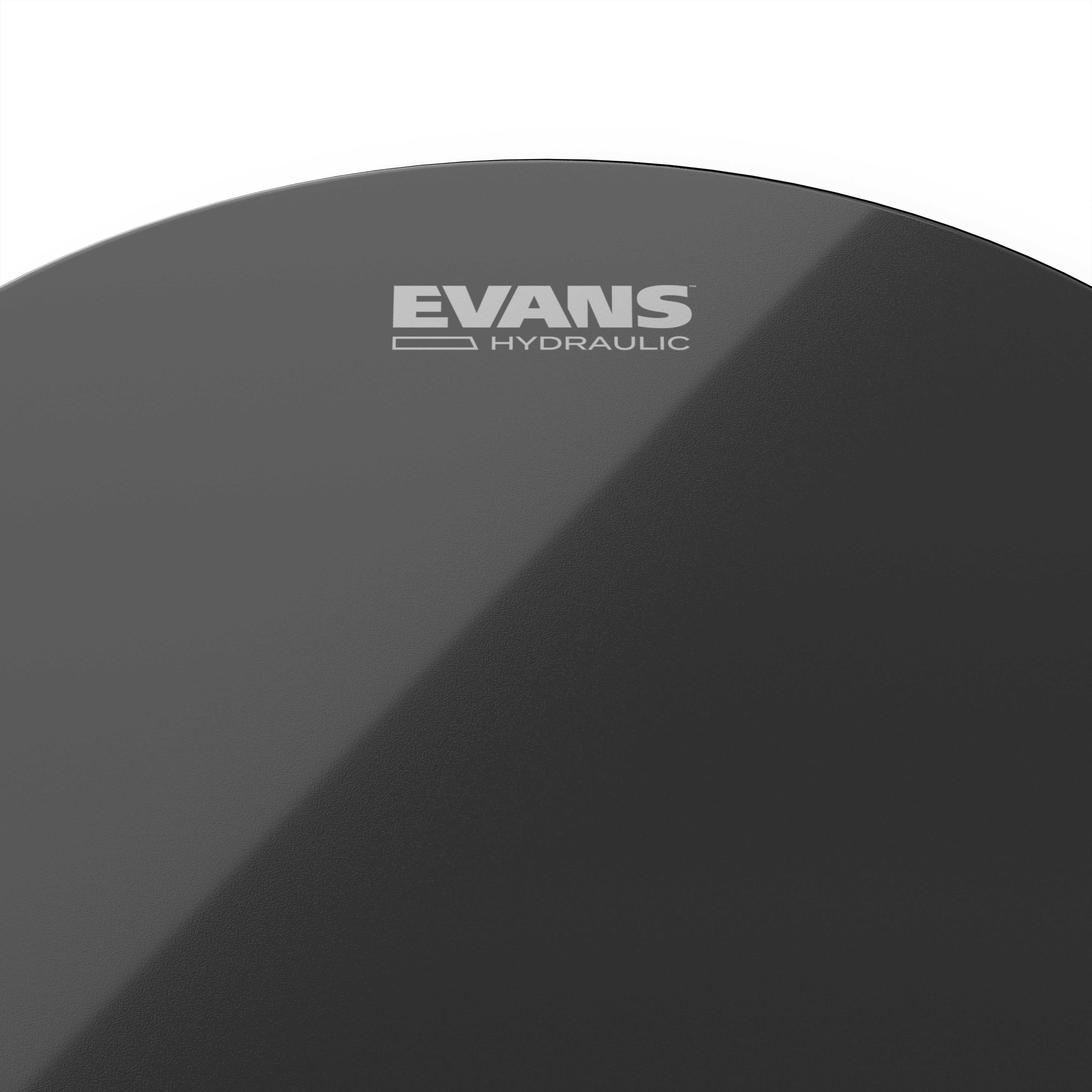Evans Hydraulic Black Drumhead - 12" - Image 2