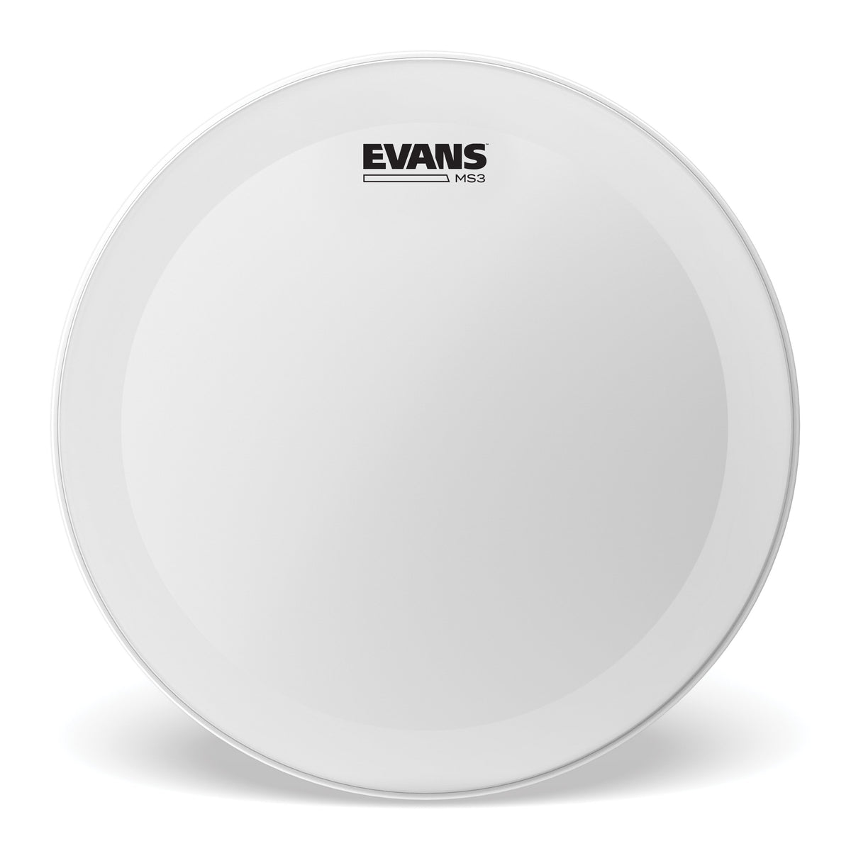 Evans MS3 Snare Side Marching Snare Drumhead - 14" - Image 1