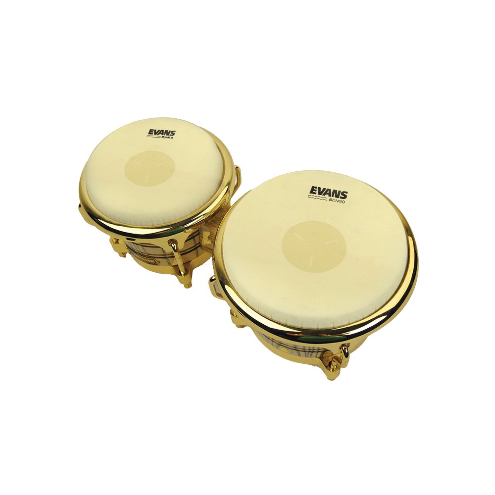 Evans Tri-Center Conga Head - 7 1/4" - Image 2