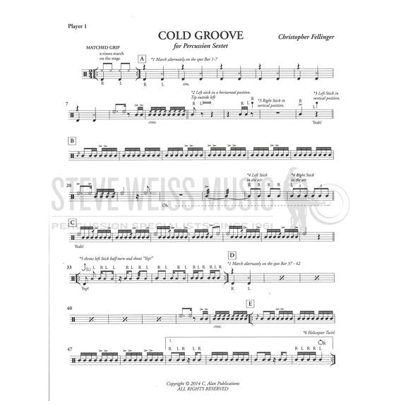 Fellinger - Cold Groove (SP) - P