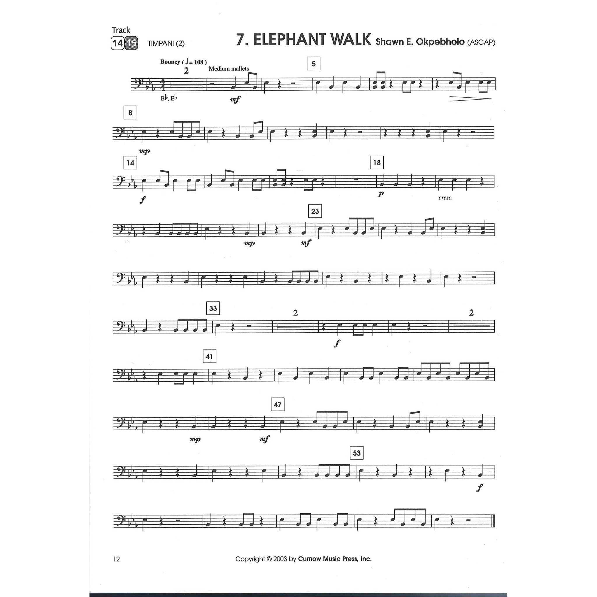 first-recital-for-timpani-solo sample
