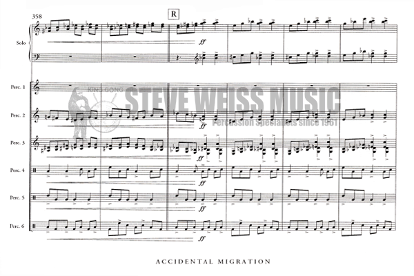 Froelich-Accidental Migration (SP)-Solo M/B/V/C/Cro./X/M