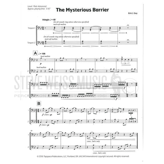 Gay-Mysterious Barrier, The (SP)-9T