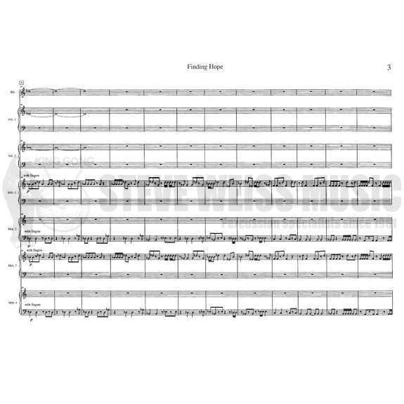 Harnsberger-Finding Hope (SP)-B/2V/Cro./4M