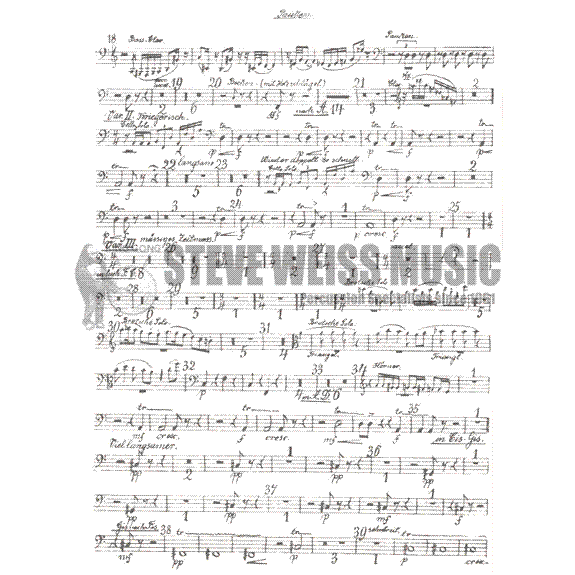 Hinger-Timpani Player's Orchestral Repertoire Vol. V-Strauss