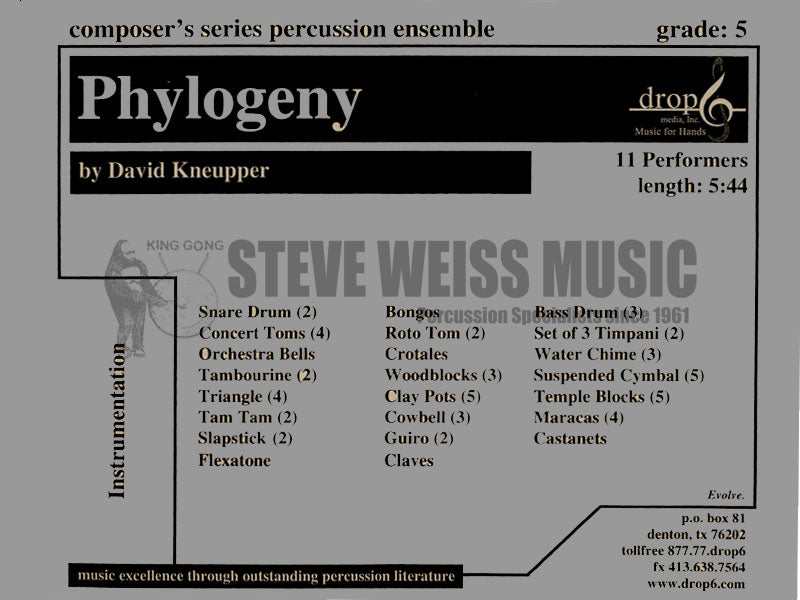 Kneupper-Phylogeny (SP)-B/3T/P