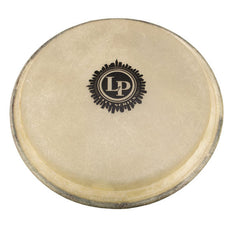 6" City Series Bongo Head