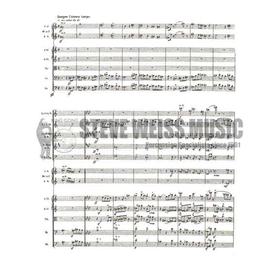 Mahler-Symphony No. 9 (S)
