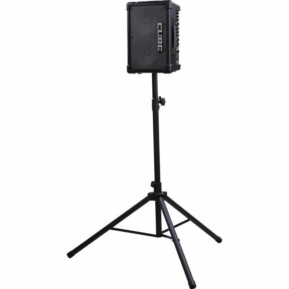 Roland CUBE Street EX Battery-Powered Stereo Amplifier