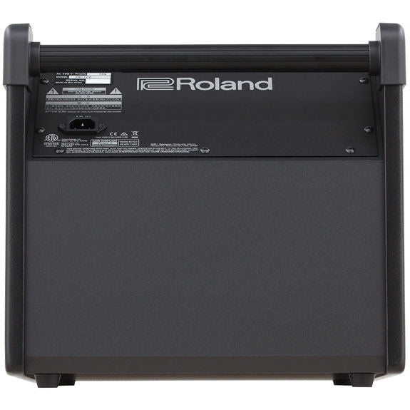 Roland Personal Monitor Amplifier (PM100)