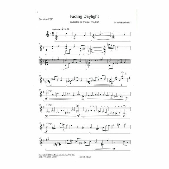 Schmitt-Fading Daylight-V