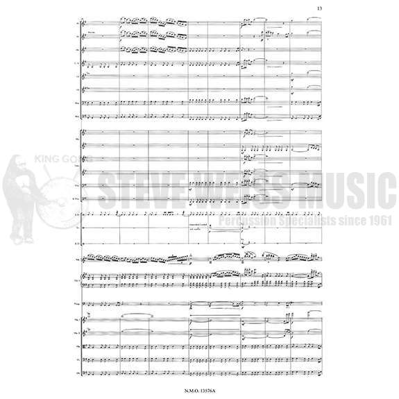 Schumacher-Windfall Concerto (StS)-Solo V/Orch.