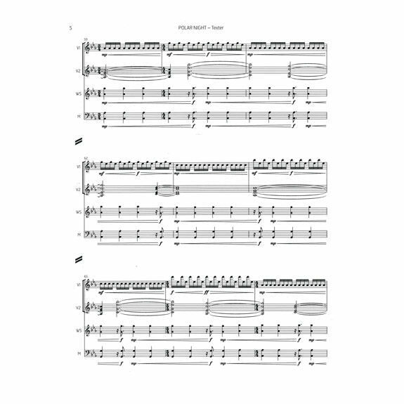 Texter-Polar Night (SP)-2V/M/Tuned wooden slats/P