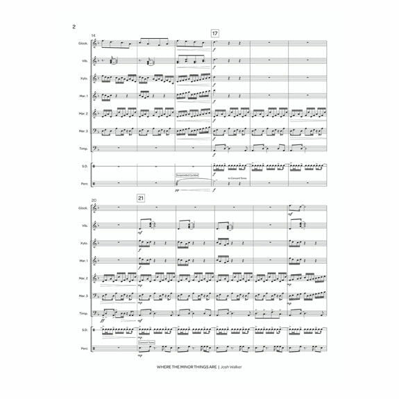 Walker-Where The Minor Things Are (SP)-B/V/X/3M/4T/P
