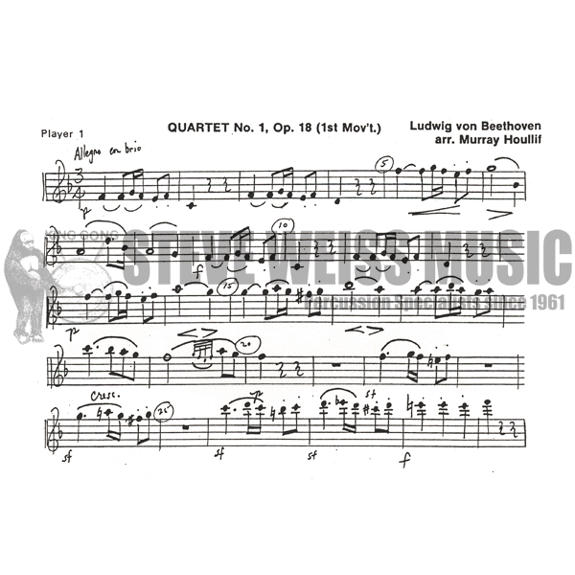 Beethoven-Quartet #1(P)