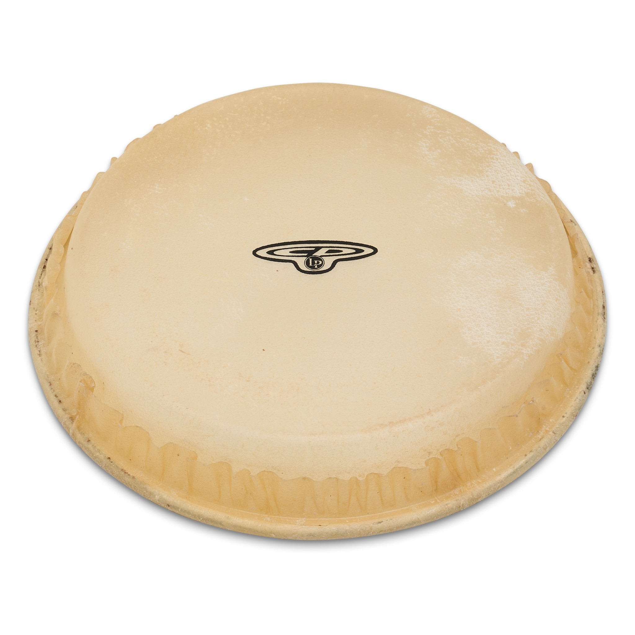 CP Bongo Head for CP221 - 6" - Image 4