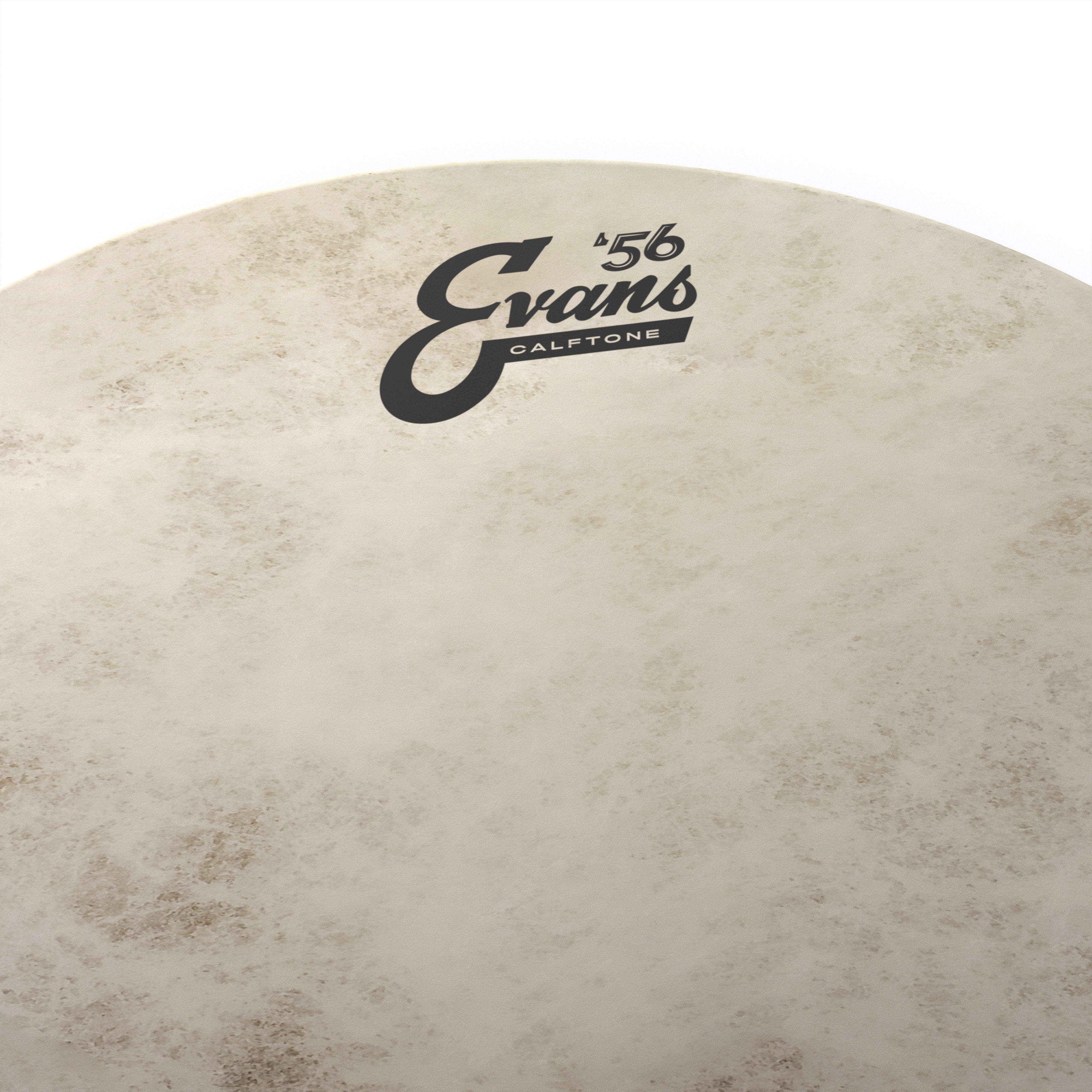 Evans Calftone Drumhead - 13" - Image 2