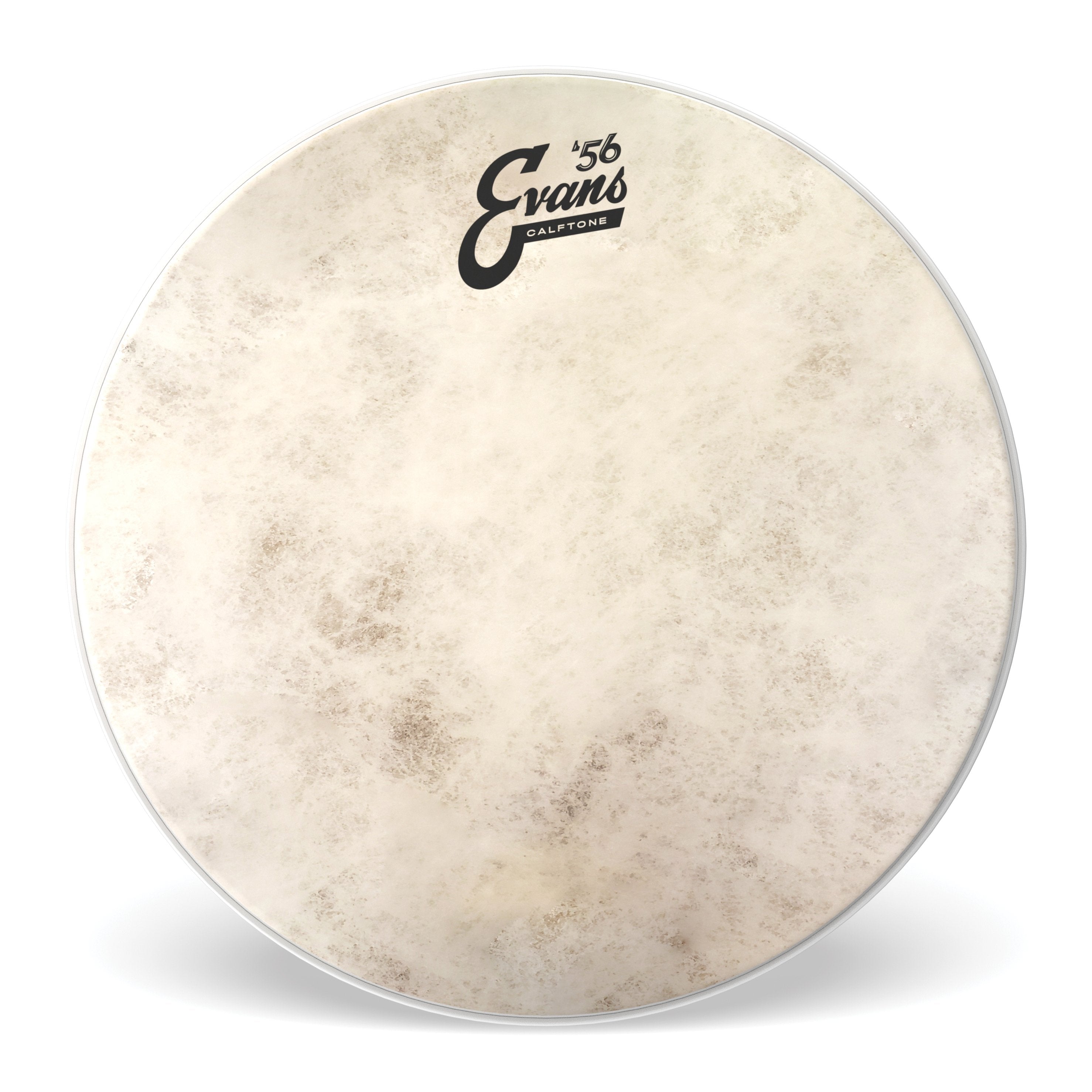 Evans Calftone Drumhead - 14" - Image 1