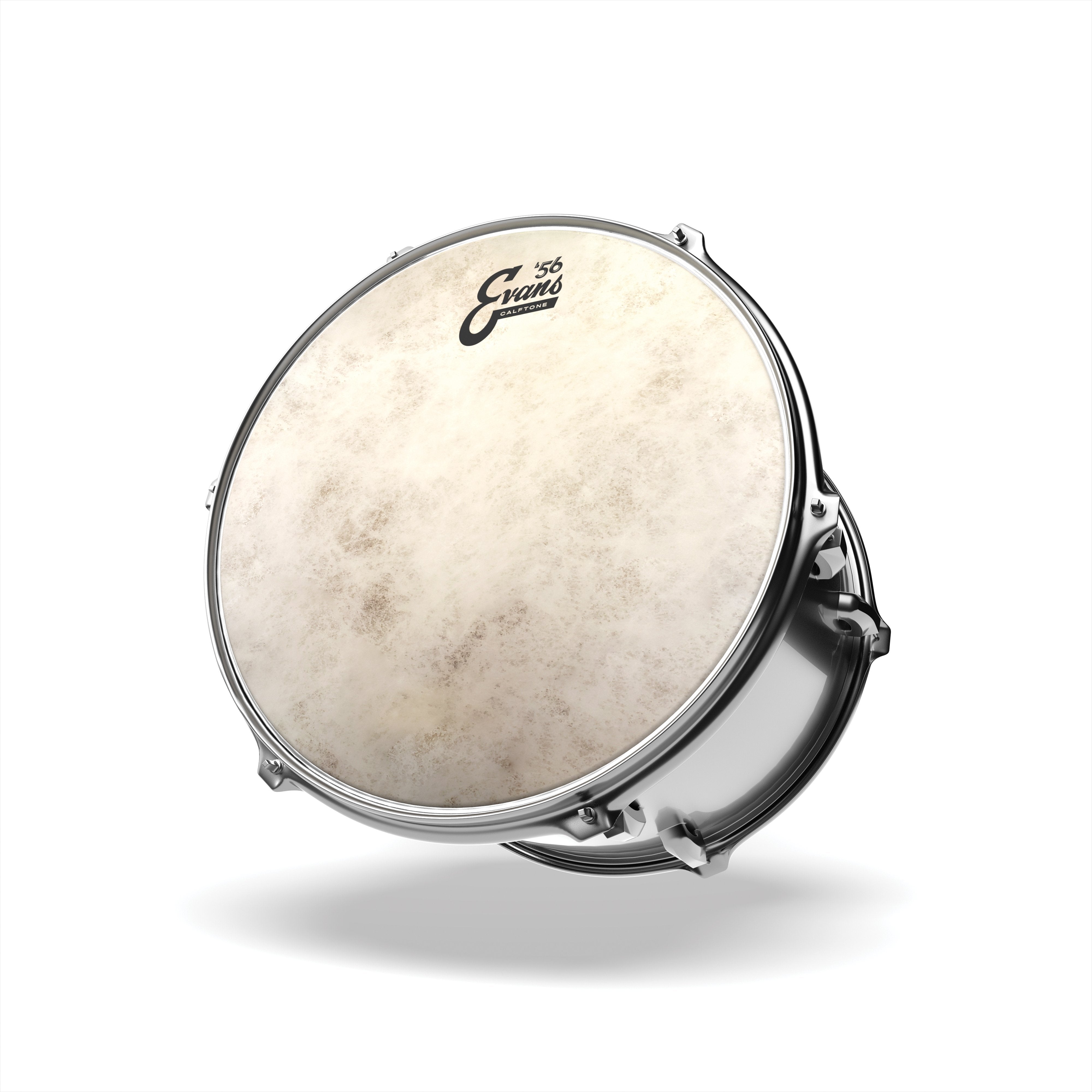 Evans Calftone Drumhead - 16" - Image 3