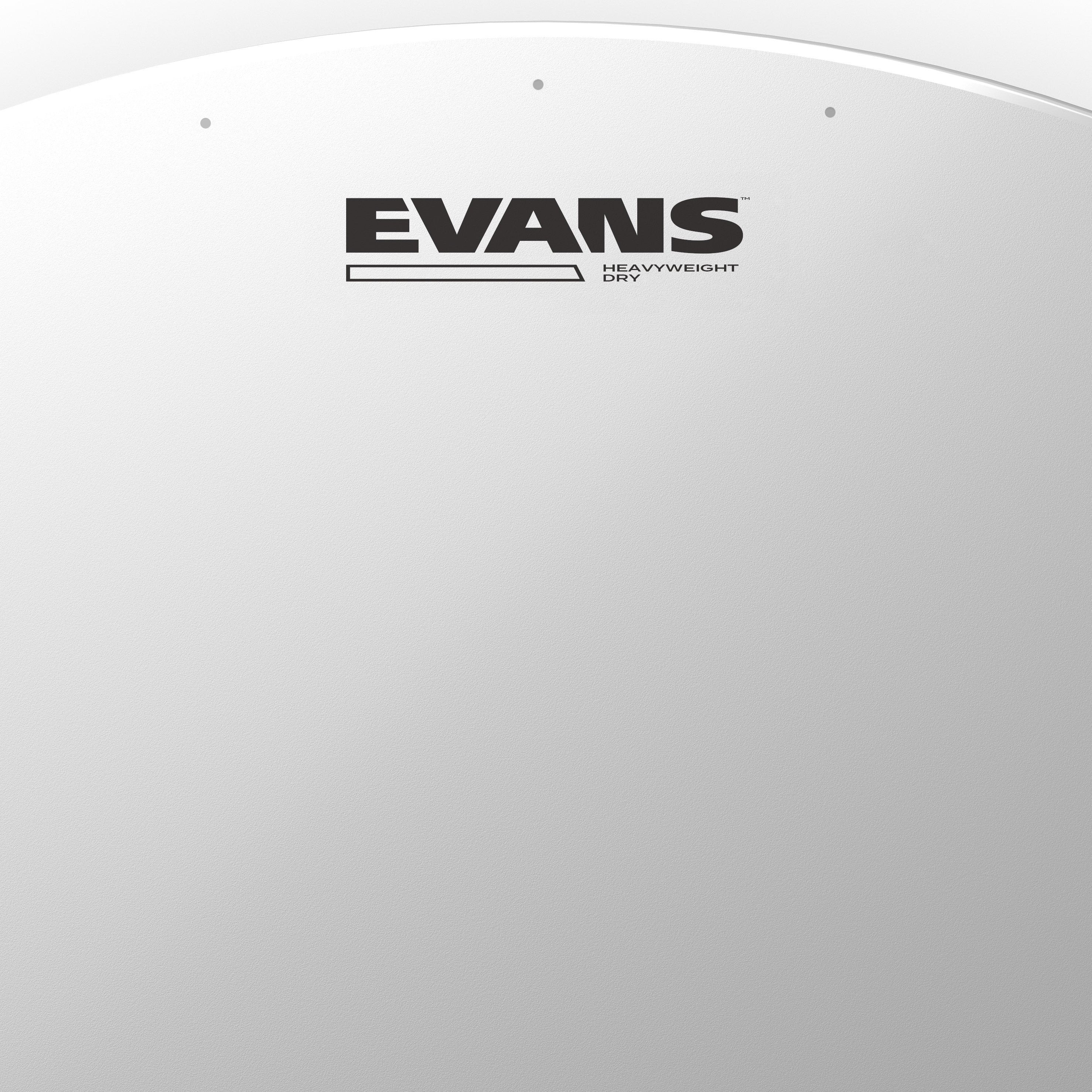 Evans Heavyweight Dry Coated Drumhead - 14" - Image 2