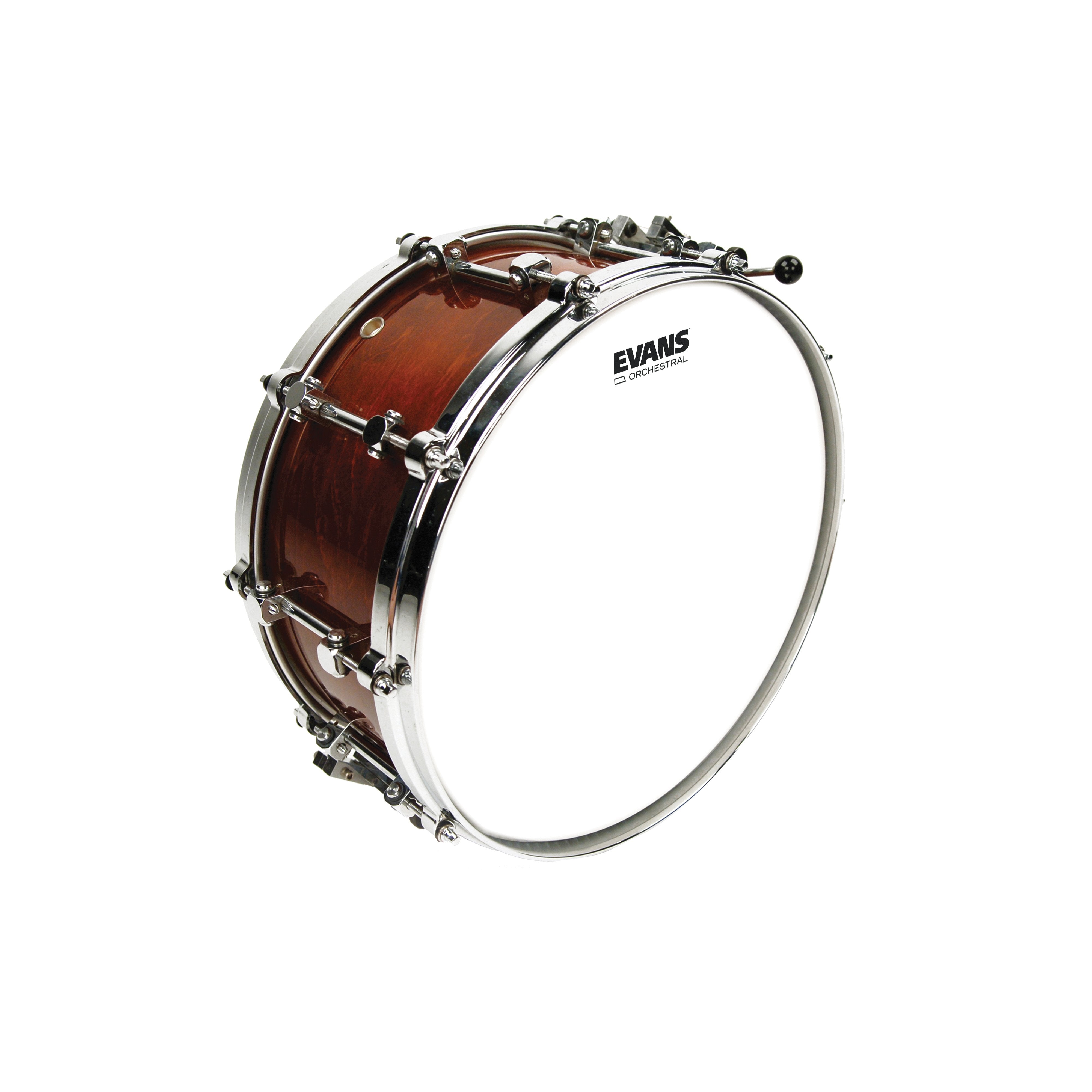 STE-201 evans orchestra エヴァンス　アンプ Evans Orchestral Snare Drumhead - 14