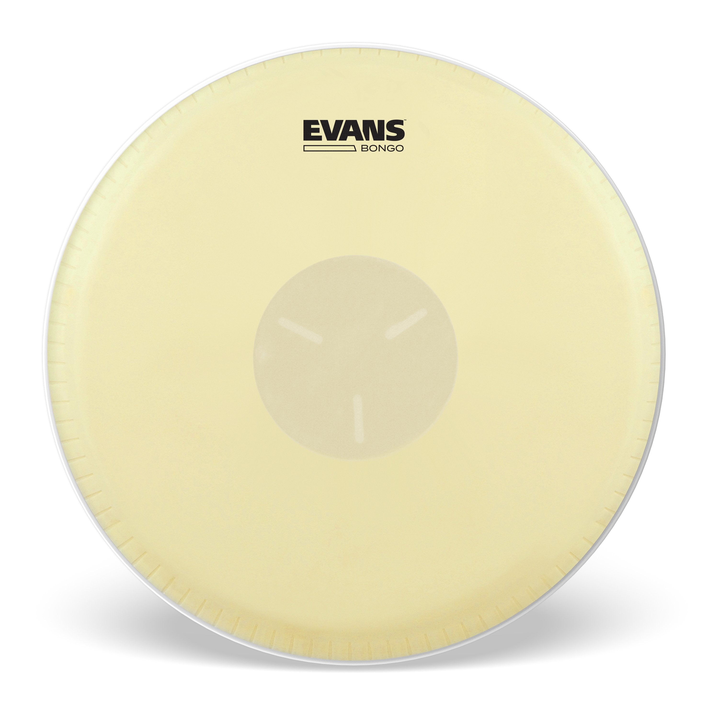 Evans Tri-Center Conga Head - 7 1/4" - Image 1