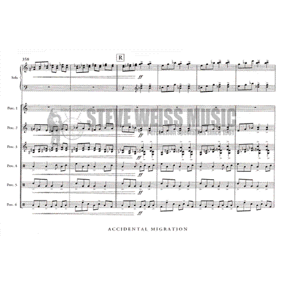 Froelich-Accidental Migration (SP)-Solo M/B/V/C/Cro./X/M