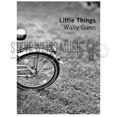 Gunn-Little Things (SP)-V/M/P