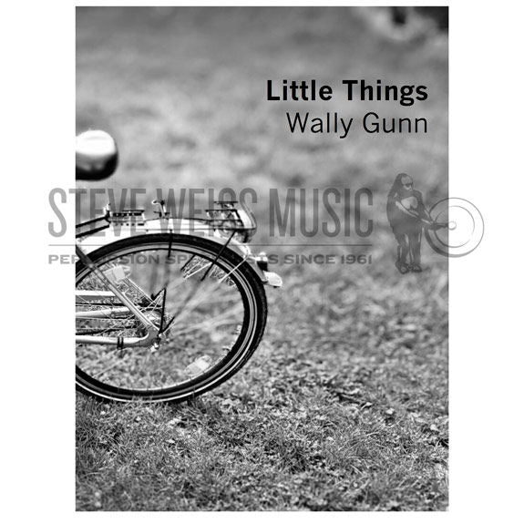 Gunn-Little Things (SP)-V/M/P