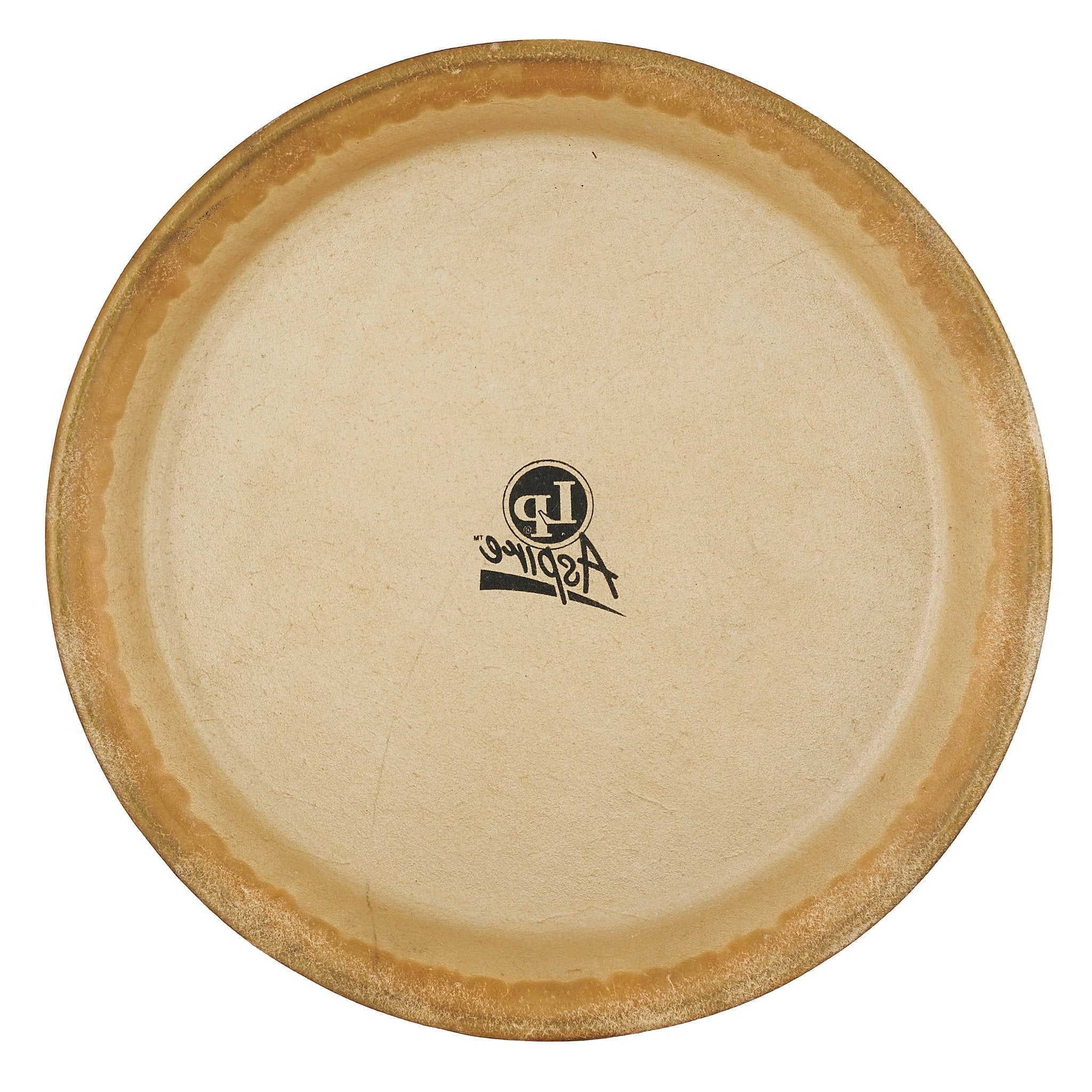 LP Aspire Conga Head - 10