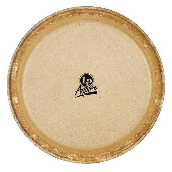LP Aspire Conga Head - 10