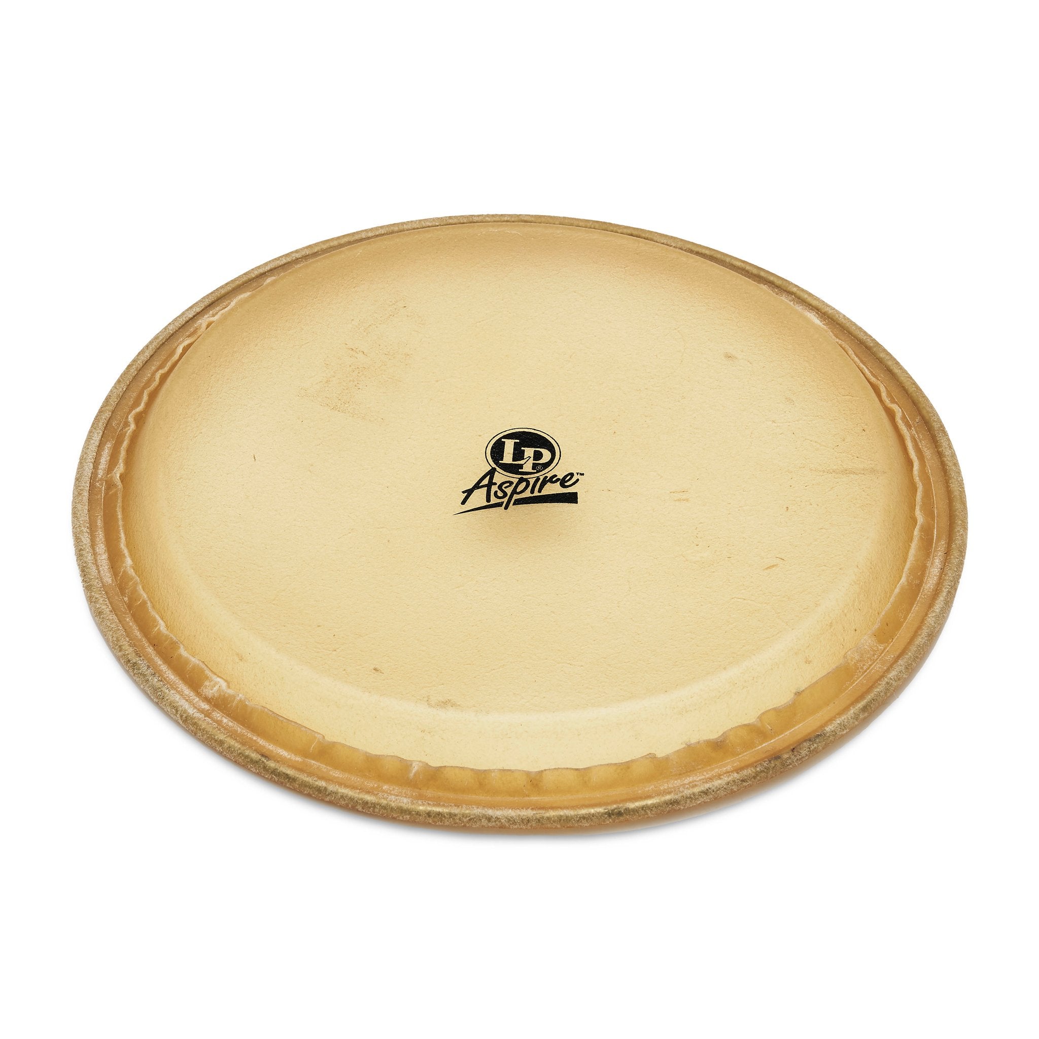 LP Aspire Conga Head - 11" - Image 4