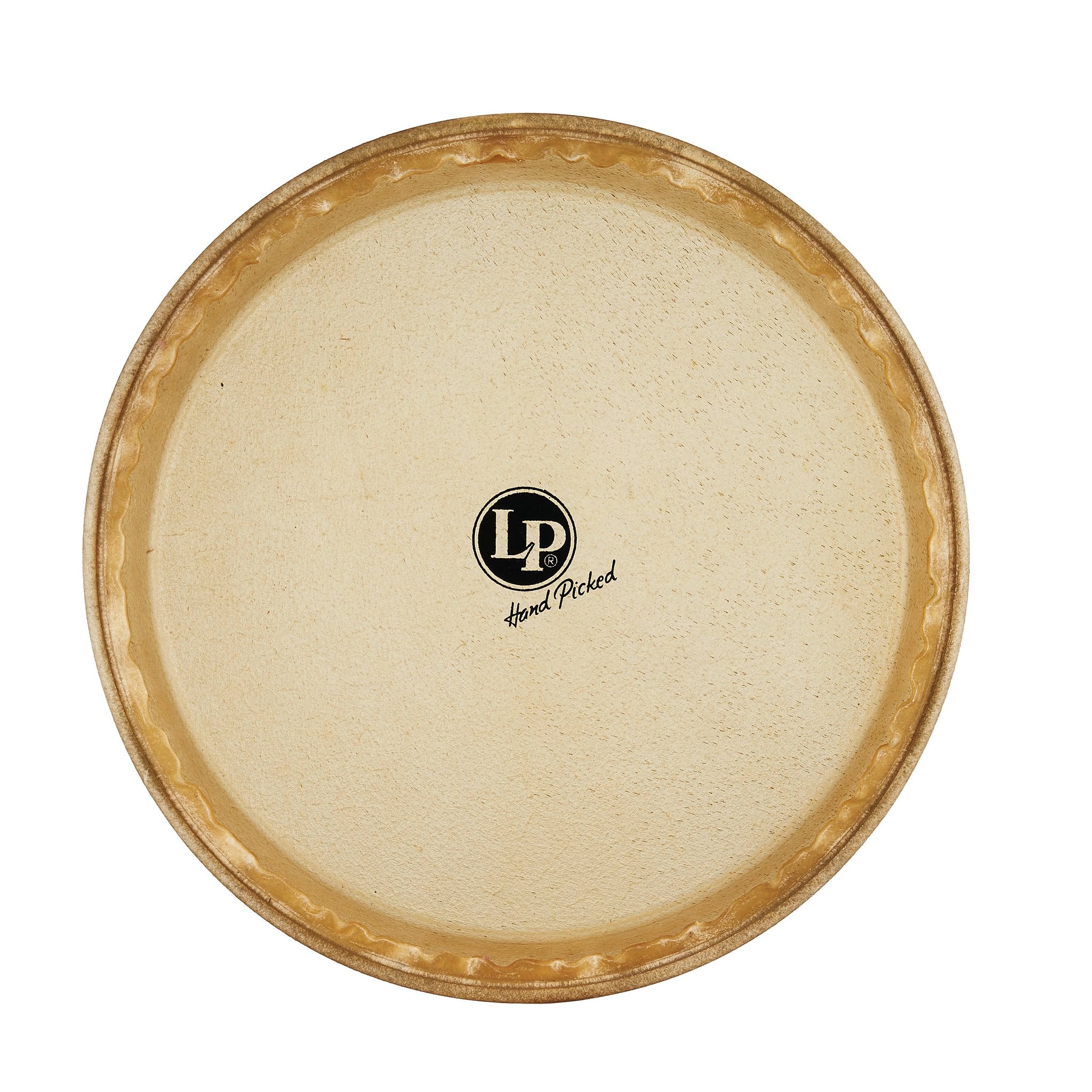LP Rawhide Conga Head - 11" - Image 1
