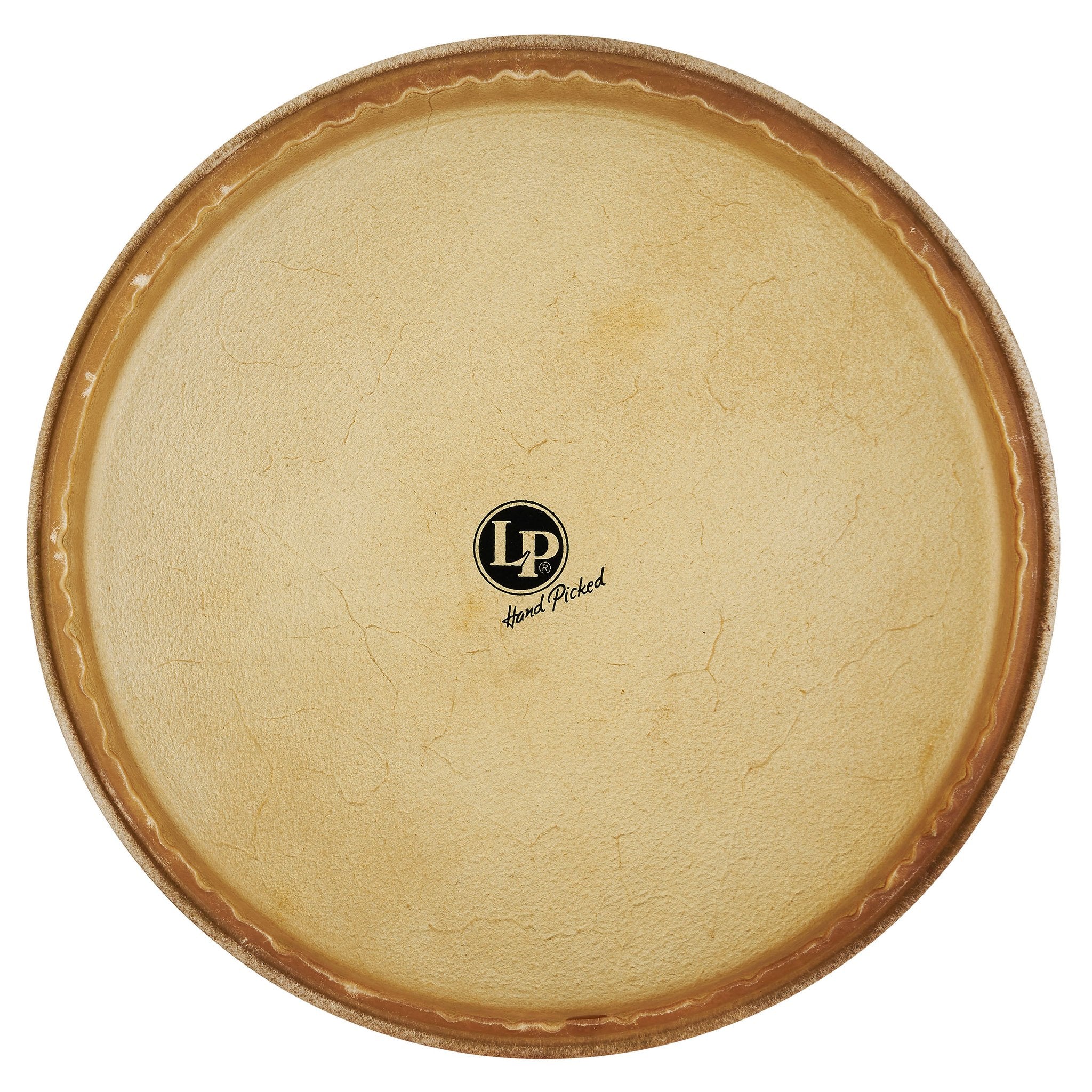 LP Rawhide Conga Head - 14" - Image 1