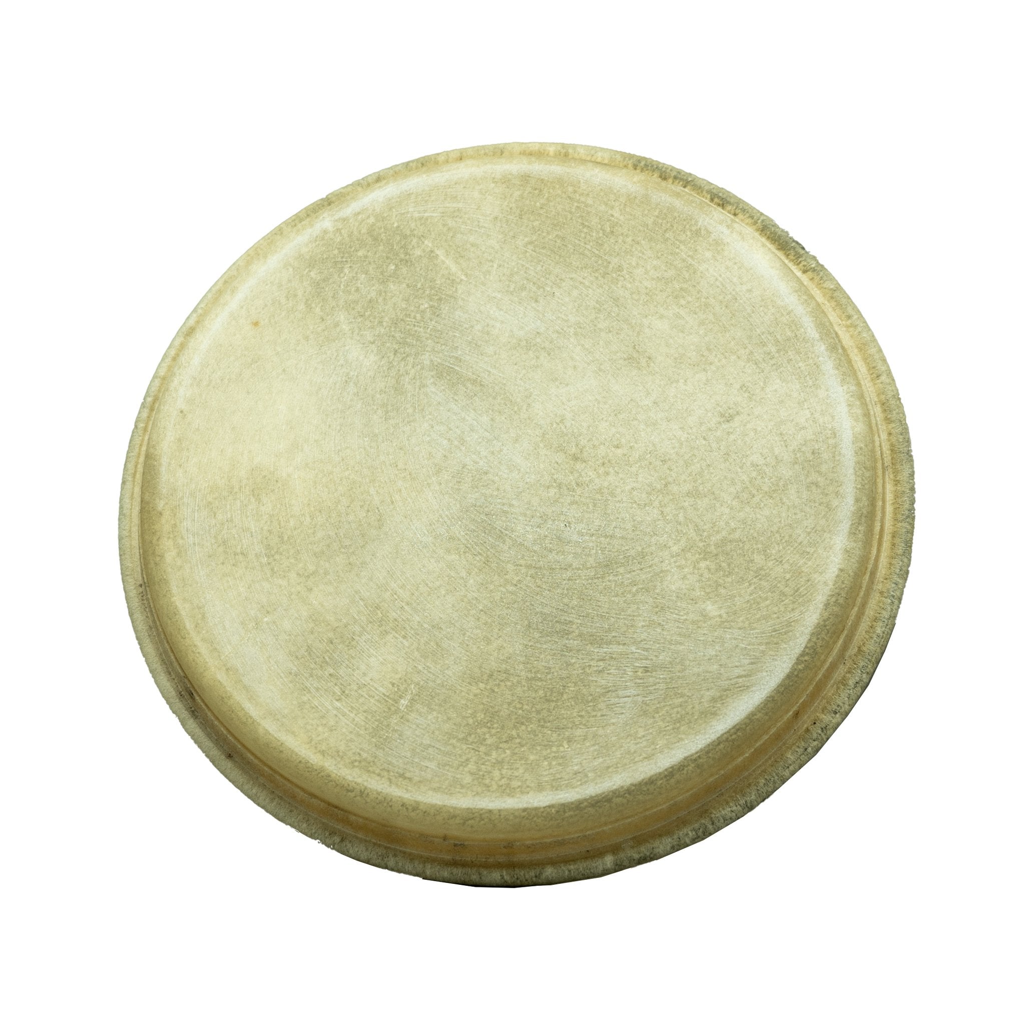 bongo-head-large