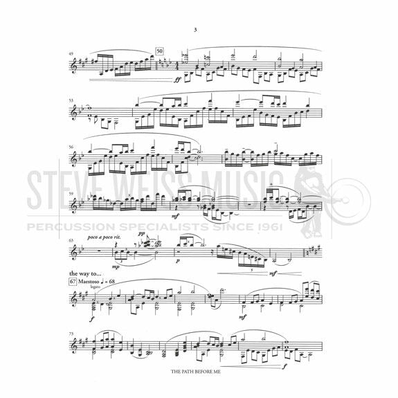 Mertens-Path Before Me, The-V