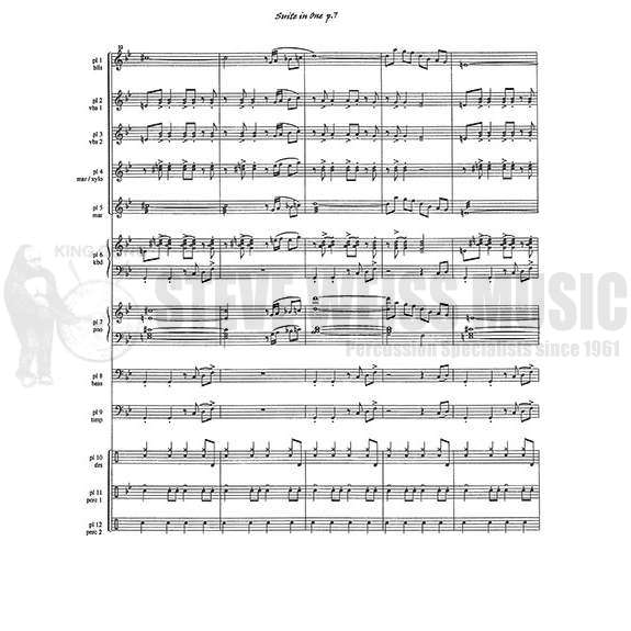 Mertens-Suite in One (SP-12)-4T/B/2V/X/M/P/PN