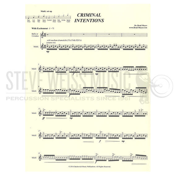 Meyer-Criminal Intentions-B or Cro./P