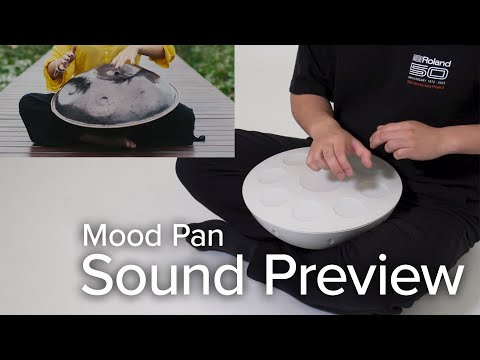 Roland Mood Pan | Steve Weiss Music