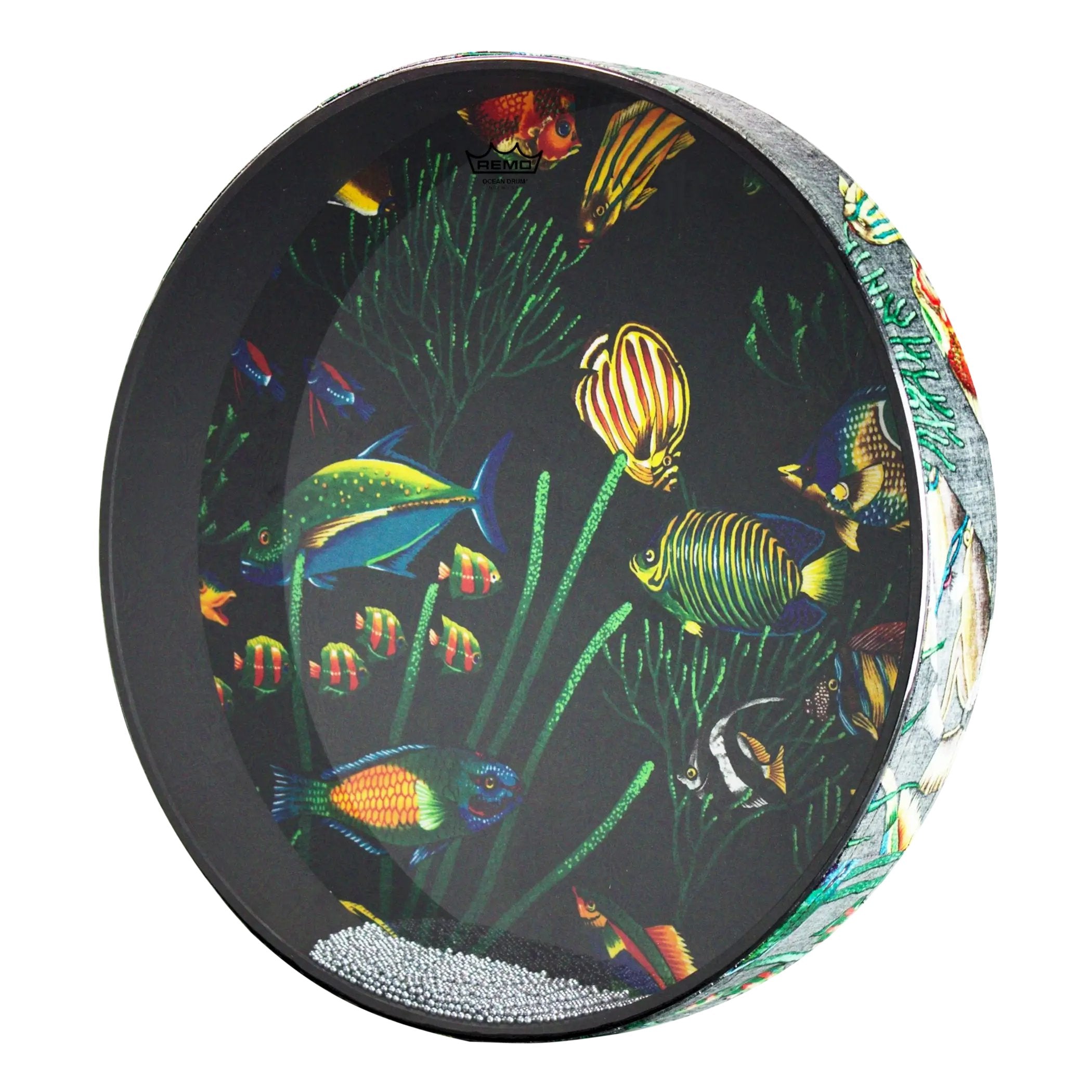 Remo Ocean Drum - 16" - Fish Graphic
